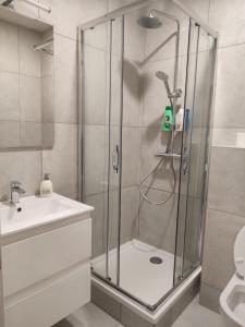 een badkamer met een douche, een wastafel en een toilet bij Leeuwerik studio in Antwerpen