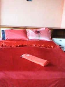 a red bed with red sheets and pillows on it at Frank Sinatra Apartment in Athens