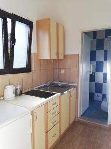 Kuchyň nebo kuchyňský kout v ubytování Apartmani Vidakovic