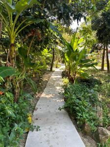 Giardino di Nest Jungle