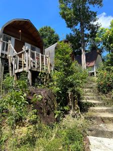 Giardino di Nest Jungle