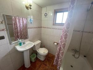 a bathroom with a sink and a toilet and a shower at Aparamentos Los Notros Neltume Huilo Huilo in Neltume
