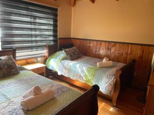 Galeriebild der Unterkunft Aparamentos Los Notros Neltume Huilo Huilo in Neltume