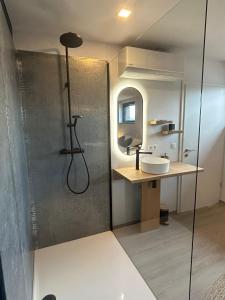 La salle de bains est pourvue d'une douche et d'un lavabo. dans l'établissement Le petit gîte de Borgoumont à Stoumont, à Stoumont