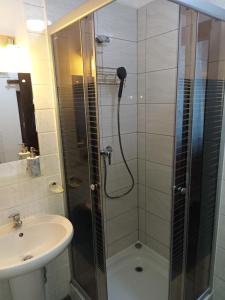 una ducha con una puerta de cristal junto a un lavabo en Pensjonat Wiking, en Stare Jabłonki