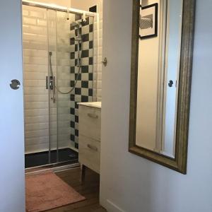 a bathroom with a shower and a mirror at une maison à la campagne in Beaune-la-Rolande