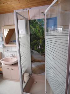 a glass shower in a bathroom with a sink at Zum Hecht, FeWo Spitzberg in Herrnhut