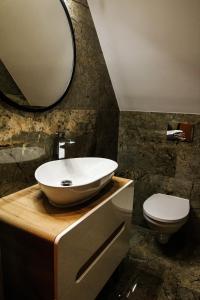 Bańska WyżnaDomki u Krużla的带水槽和马桶的浴室 更多44张照片