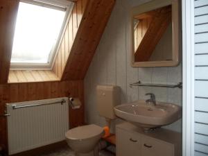a bathroom with a sink and a toilet and a window at Zum Hecht, FeWo Spitzberg in Herrnhut