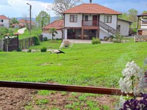 A garden outside Casa Lambuh