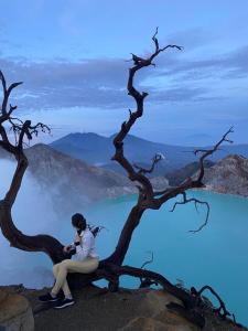 a woman sitting on a tree on top of a mountain at Ijen Transito 2 homestay in Ketapang