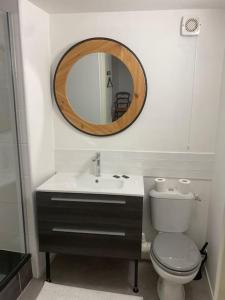 ein Badezimmer mit einem Waschbecken, einem WC und einem Spiegel in der Unterkunft Coeur de Jaude 2 chambres Tout équipé 4 personnes in Clermont-Ferrand