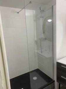 eine Dusche mit Glastür im Bad in der Unterkunft Coeur de Jaude 2 chambres Tout équipé 4 personnes in Clermont-Ferrand