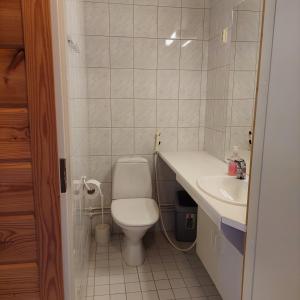 a small bathroom with a toilet and a sink at Koli Country Club in Hattusaari