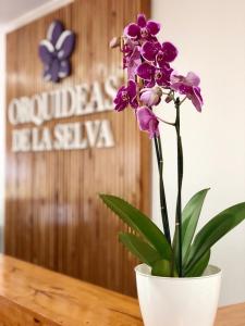 una flor púrpura en un jarrón blanco sobre una mesa en Orquídeas De La Selva en Puerto Iguazú