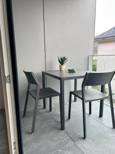 uma mesa preta e cadeiras com uma planta sobre ela em LabPark Relax Apartment em Melano