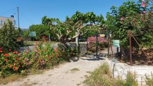 d'un jardin avec un arbre et des fleurs colorées. dans l'établissement Agritourism Cottage near Sitia (Henhouse), à Siteía