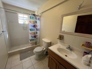 een badkamer met een toilet, een wastafel en een douche bij Waves Villa Guesthouse in Kingstown