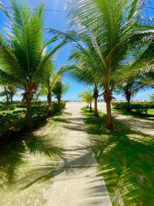 un camino de tierra con palmeras en una playa en Apartamento en Condominio con Salida al Mar MORROS EPIC, en Cartagena de Indias