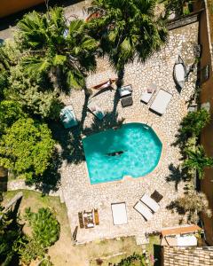 布希奧斯的住宿－Pousada Casa Cactus Praia da Tartaruga Búzios，享有棕榈树游泳池的顶部景致