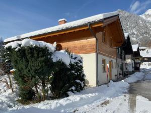 ラムサウ・アム・ダッハシュタインにあるAppartement Steinfischの横雪の建物