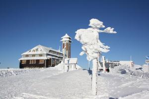 NeudorfにあるNichtraucher-Fewo-Ebert-Greenの雪の女像
