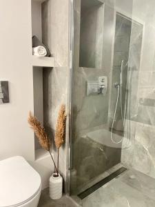 a shower stall in a bathroom with a toilet at Apartamenty Kielce- Apartament Zacisze -Komfort przy Baseny Tropikalne, faktura, parking, centrum in Kielce +42 photos