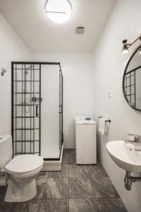 a white bathroom with a toilet and a sink at Bearsleys Downtown Apartments in Rīga