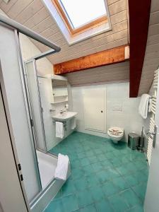 een badkamer met een toilet, een wastafel en een dakraam bij Penthouse between lake, Ouchy and city center in Lausanne