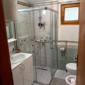 Dolna MatkaにあるRiverside Havenのバスルーム(シャワー、洗面台、トイレ付)