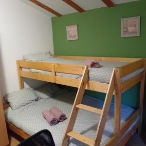 Dolna MatkaにあるRiverside Havenの緑の壁のドミトリールームの二段ベッド2台分です。