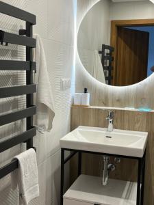 a bathroom with a sink and a mirror at Domek nad stawem in Krynica Zdrój +30 photos