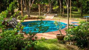 a swimming pool in a yard with plants at Sang Tong Huts in Mae Hong Son