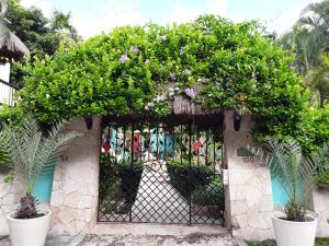 Zahrada ubytování Casa Gatos Suites