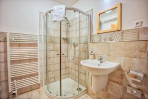 uma casa de banho com um chuveiro e um lavatório. em Penzion Pivnice - Jítravský Dvorec em Rynoltice