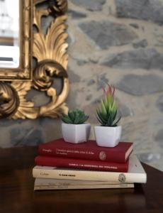 een stapel boeken met planten erop bij Romantico appartamento in Centro in Castiglione del Lago