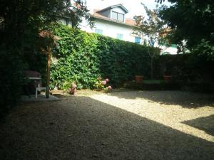 einen Garten mit einer Hecke, einer Bank und einem Gebäude in der Unterkunft Saint-Jean de Luz,Maison de ville ancienne, face à la plage in Sainte-Barbe