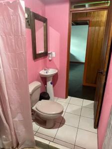 Baño de color rosa con aseo y lavamanos en Casa Nativo Spring Arenal, en Fortuna