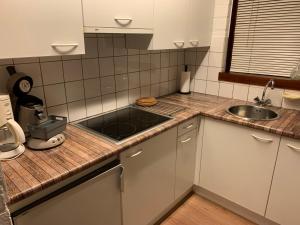 eine Küche mit einer Spüle und einer Arbeitsplatte in der Unterkunft Ferias E55 in Lanaken