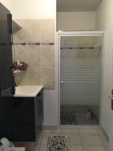 uma casa de banho com um chuveiro e uma porta de vidro em Sanguinet Jolie maison mitoyenne pour 6 pers em Sanguinet