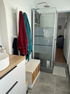 een badkamer met een douche en een wastafel bij Appartement 70m2 dans maison avec jardin in Bischheim