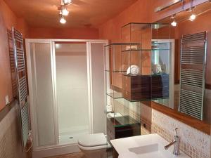 a bathroom with a toilet and a sink and a mirror at Apartamentos Candanchu 3000 in Candanchú +36 photos