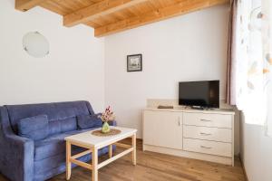 Televízia a/alebo spoločenská miestnosť v ubytovaní Residence Reisenschuh