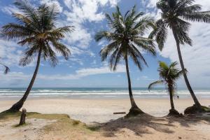 three palm trees on a beach with the ocean at Sobrado a 300m da praia de Ilhéus VCM005 in Ilhéus