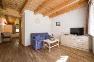 uma sala de estar com uma cadeira azul e uma televisão em Residence Reisenschuh em Vipiteno