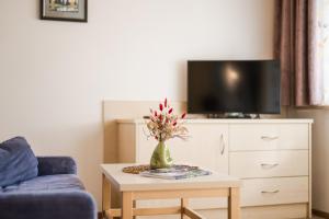Televízia a/alebo spoločenská miestnosť v ubytovaní Residence Reisenschuh