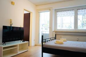 um quarto com uma cama e uma televisão de ecrã plano em Kompaktes Apartment in ruhiger Lage em Wolfsburg