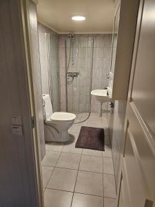 La salle de bains est pourvue de toilettes, d'un lavabo et d'une douche. dans l'établissement Cozy home, à Gravdal