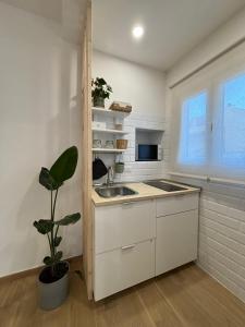 a kitchen with a sink and a counter with a plant at La Maison in Civitavecchia