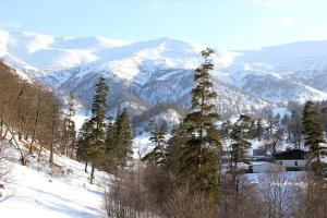 a snowy mountain range with trees and snow covered mountains at Orbi Palace Bakuriani 101 in Bakuriani